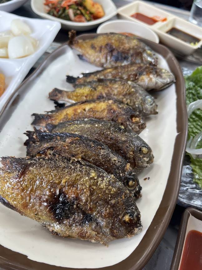 굵은소금을 뿌려 구운 자리돔구이